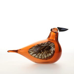 Birds Lakla セビリアオレンジ 0005