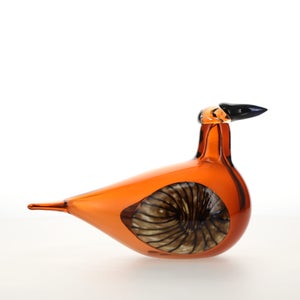 Birds Lakla セビリアオレンジ 0008