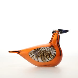 Birds Lakla セビリアオレンジ 0009