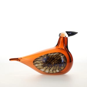 Birds Lakla セビリアオレンジ 0010