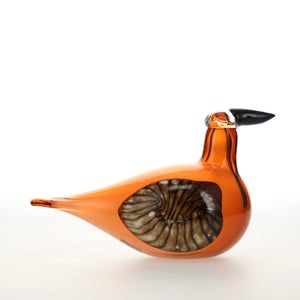 Birds Lakla セビリアオレンジ 0011