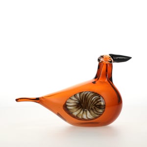 Birds Lakla セビリアオレンジ 0013