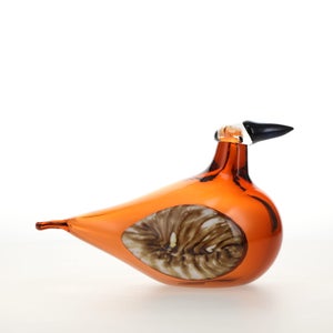 Birds Lakla セビリアオレンジ 0015