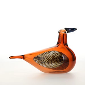 Birds Lakla セビリアオレンジ 0016