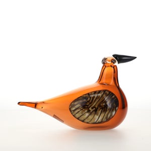 Birds Lakla セビリアオレンジ 0018