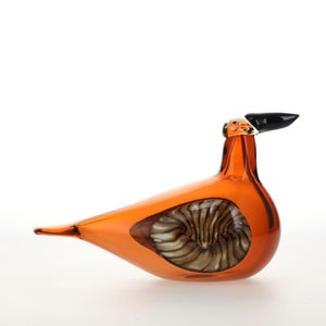 Birds Lakla セビリアオレンジ 0019