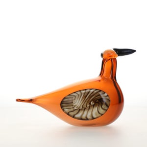 Birds Lakla セビリアオレンジ 0020