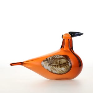 Birds Lakla セビリアオレンジ 0021