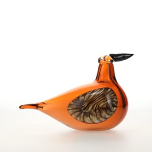 Birds Lakla セビリアオレンジ 0022