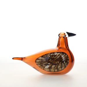 Birds Lakla セビリアオレンジ 0024