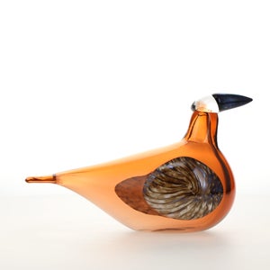 Birds Lakla セビリアオレンジ 0025