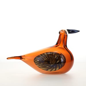 Birds Lakla セビリアオレンジ 0026