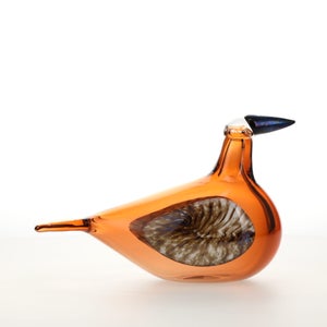 Birds Lakla セビリアオレンジ 0027