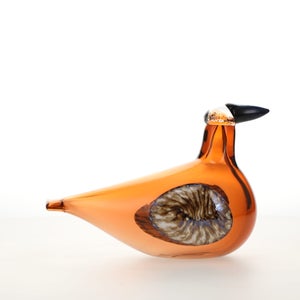 Birds Lakla セビリアオレンジ 0028