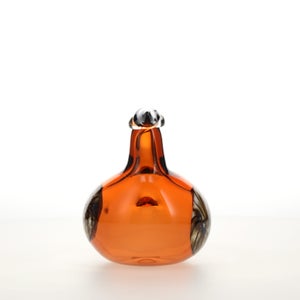 Birds Lakla セビリアオレンジ 0002