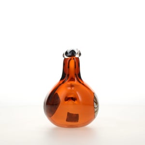 Birds Lakla セビリアオレンジ 0003