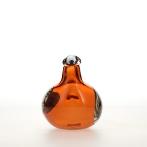 Birds Lakla セビリアオレンジ 0005