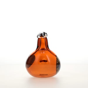 Birds Lakla セビリアオレンジ 0006