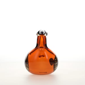 Birds Lakla セビリアオレンジ 0008