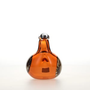 Birds Lakla セビリアオレンジ 0018