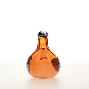 Birds Lakla セビリアオレンジ 0023