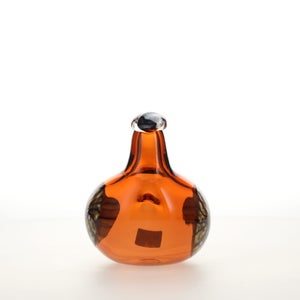 Birds Lakla セビリアオレンジ 0024