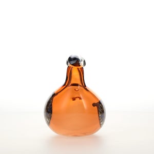 Birds Lakla セビリアオレンジ 0025