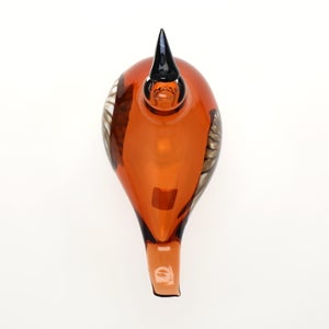 Birds Lakla セビリアオレンジ 0001