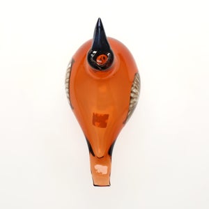 Birds Lakla セビリアオレンジ 0003