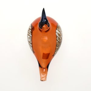 Birds Lakla セビリアオレンジ 0004