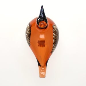 Birds Lakla セビリアオレンジ 0005