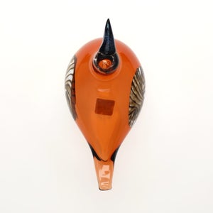 Birds Lakla セビリアオレンジ 0006