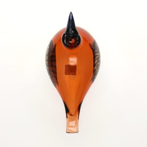 Birds Lakla セビリアオレンジ 0008