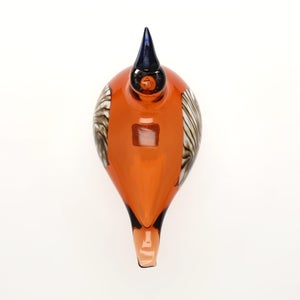 Birds Lakla セビリアオレンジ 0009