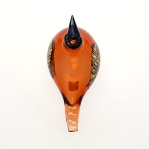 Birds Lakla セビリアオレンジ 0012