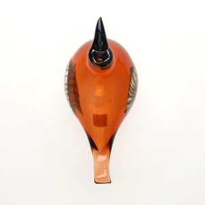 Birds Lakla セビリアオレンジ 0013