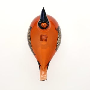 Birds Lakla セビリアオレンジ 0014