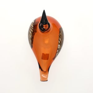 Birds Lakla セビリアオレンジ 0017