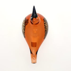 Birds Lakla セビリアオレンジ 0018