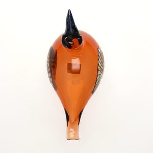 Birds Lakla セビリアオレンジ 0020