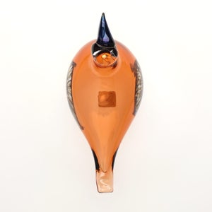 Birds Lakla セビリアオレンジ 0023