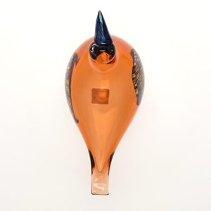 Birds Lakla セビリアオレンジ 0025