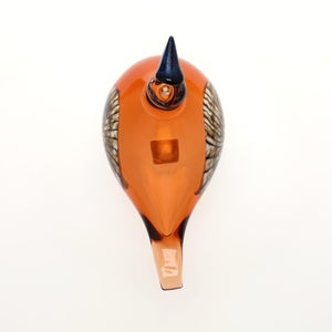 Birds Lakla セビリアオレンジ 0030