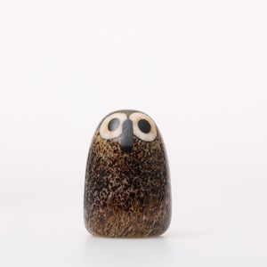 Birds Little Barn Owl ブラウン 0233