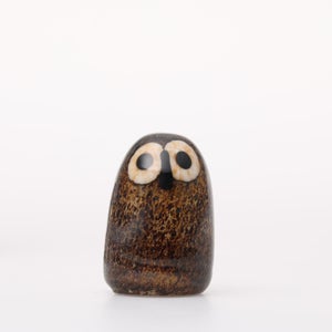 Birds Little Barn Owl ブラウン 0238