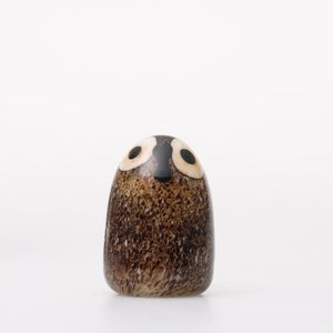 Birds Little Barn Owl ブラウン 0241