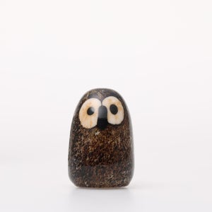 Birds Little Barn Owl ブラウン 0255