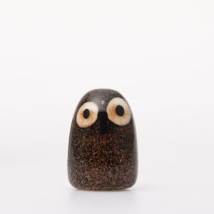 Birds Little Barn Owl ブラウン 0294