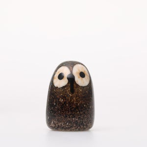 Birds Little Barn Owl ブラウン 0299