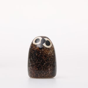Birds Little Barn Owl ブラウン 0305
